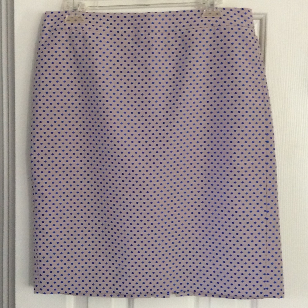 J. Crew Factory Skirt Size 8